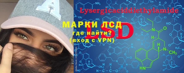 стафф Богородск