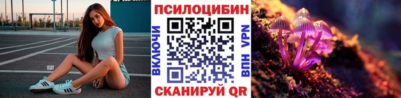 Псилоцибиновые грибы Magic Shrooms  наркота  Черняховск 